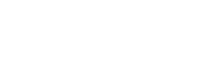 FlowVenues Logo